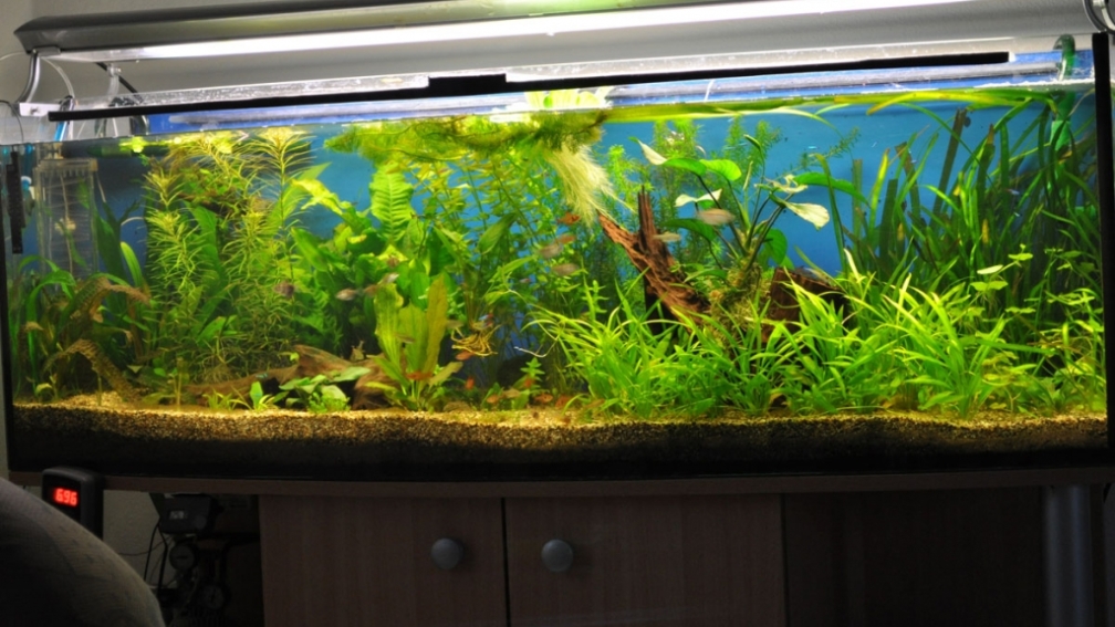 Hauptbild vom 25.03.10