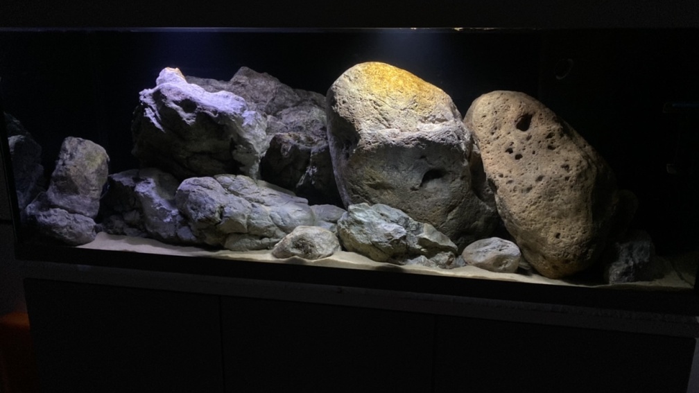 Aquarium Hauptansicht von Rockzone