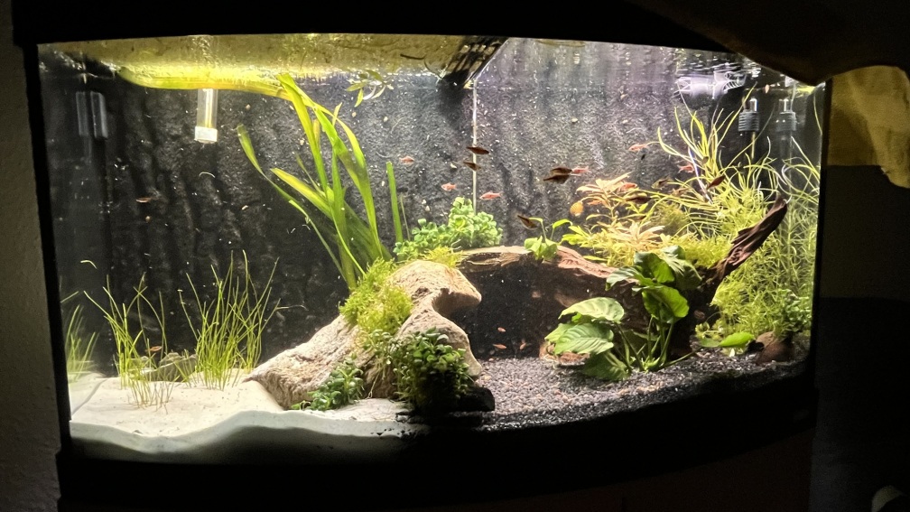 Aquarium Hauptansicht von Unterwasserinsel