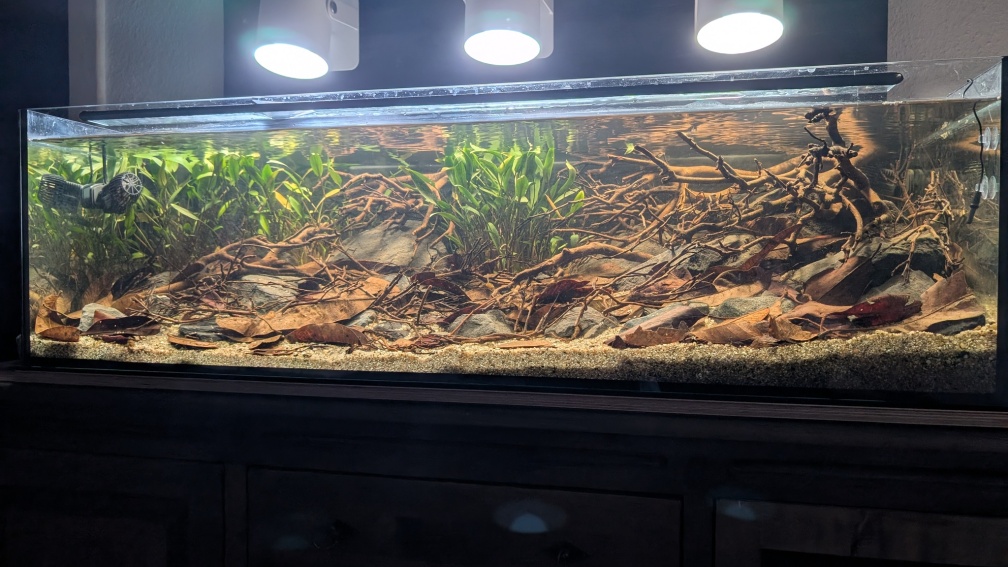 Aquarium Hauptansicht von Irgendwo in Sri Lanka