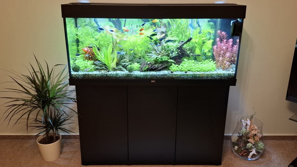 Juwel 240l mit Unterschrank