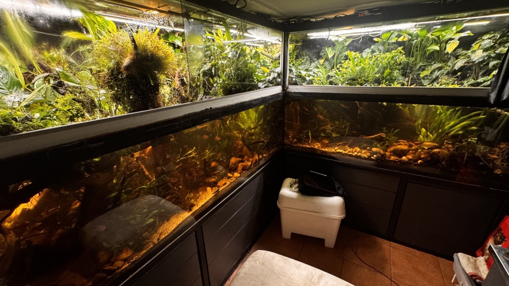 Aquarium Hauptansicht von Wohnzimmeraquarium im Keller