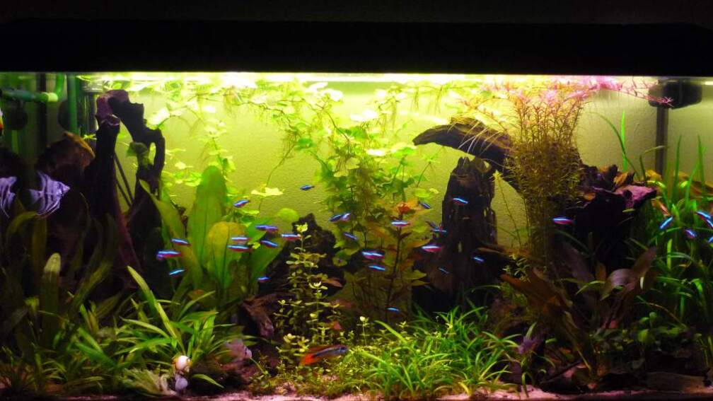 Becken nach 3 Monaten