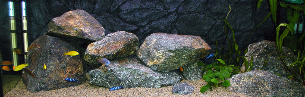Aquarium Hauptansicht von Becken 880