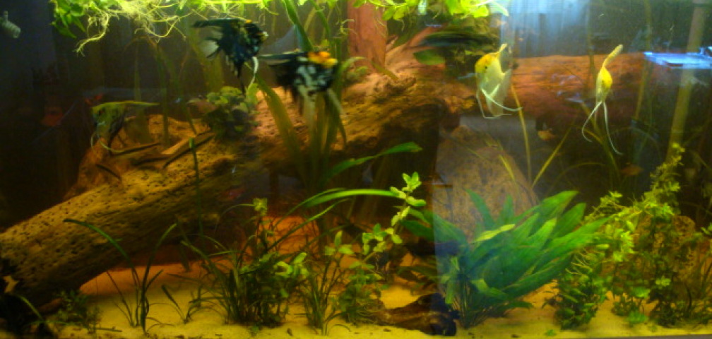 Mein Becken ;) (neues Hauptbild vom 5.05.08)