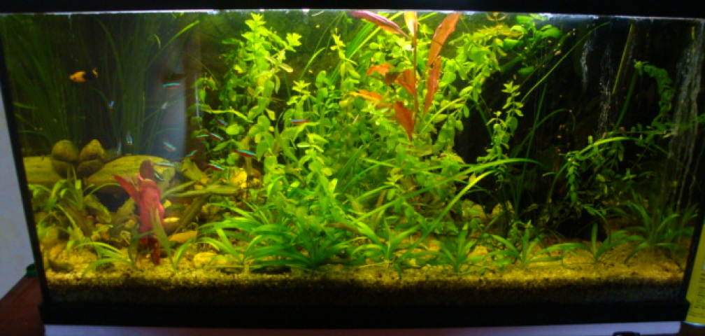 Beckenbild vom 13.05.09