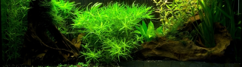 relativ aktuelles Bild