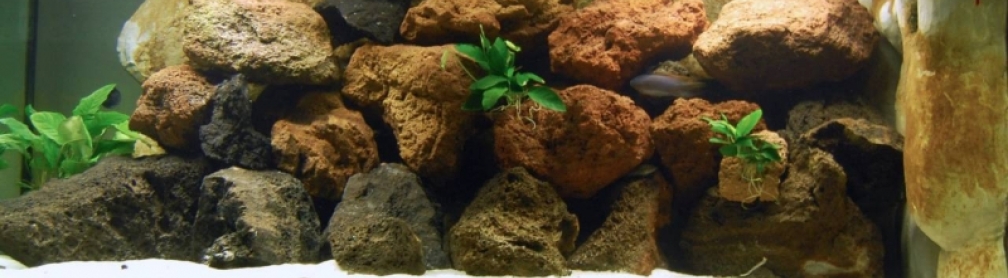 Gesamtansicht mit Teilbesatz