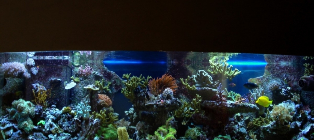 Morgenröte!!! Morgenröte!!!